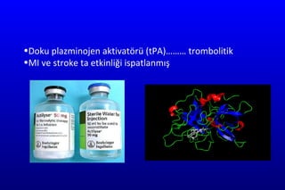 Doku  pla z mino j en a k tivat örü  (tPA) ……… trombolitik  MI ve stroke ta etkinliği ispatlanmış   