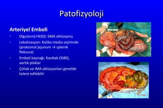 Patofizyoloji Arteri ye l Emboli Olguların (>%50): SMA  oklüzyonu Lo kalizasyon :  Kolika media orjininde  (pro ksim al jejun u m  ->  spleni k  fle ks ur a ) Emboli  kaynağı:   K ardia k  (%80), aorti k  pla klar Çöliak ve  IMA o klüzyonları genelde tolere edilebilir 