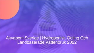 Akvaponi Sverige | Hydroponisk Odling Och
Landbaserade Vattenbruk 2022
 