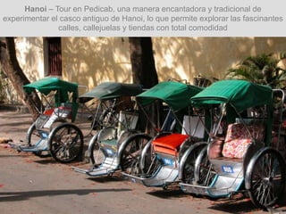Hanoi – Tour en Pedicab, una manera encantadora y tradicional de
experimentar el casco antiguo de Hanoi, lo que permite explorar las fascinantes
calles, callejuelas y tiendas con total comodidad
 