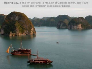 Halong Bay, a 165 km de Hanoi (3 hrs.), en el Golfo de Tonkin, con 1.600
islotes que forman un espectacular paisaje
 