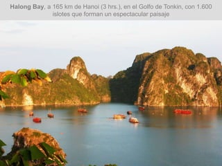 Halong Bay, a 165 km de Hanoi (3 hrs.), en el Golfo de Tonkin, con 1.600
islotes que forman un espectacular paisaje
 