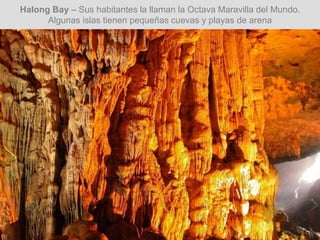 Halong Bay – Sus habitantes la llaman la Octava Maravilla del Mundo.
Algunas islas tienen pequeñas cuevas y playas de arena
 