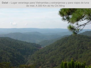 Dalat – Lugar veraniego para Vietnamitas y extranjerosa y para viajes de luna
de miel. A 300 Km de Ho Chi Ming
 
