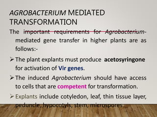 AGROBACTERIUM MEDIATED
TRANSFORMATION
The important requirements for Agrobacterium-
mediated gene transfer in higher plants are as
follows:-
The plant explants must produce acetosyringone
for activation of Vir genes.
The induced Agrobacterium should have access
to cells that are competent for transformation.
Explants include cotyledon, leaf, thin tissue layer,
peduncle, hypocotyls, stem, microspores
 