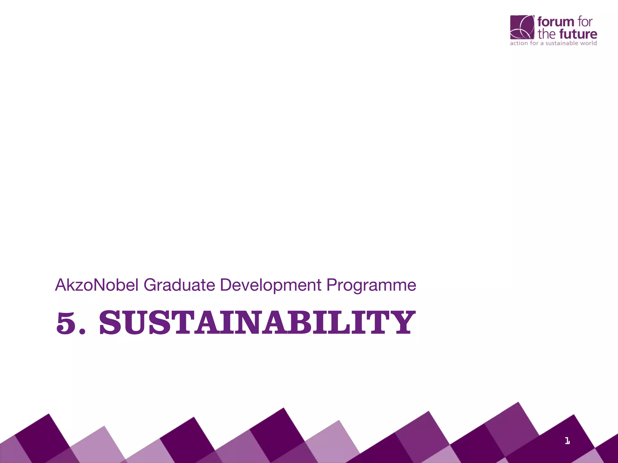 5. SUSTAINABILITY
AkzoNobel Graduate Development Programme
1
 