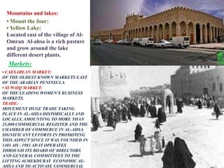 Mountains and lakes:
 • Mount the four:
 • Yellow Lake:
 Located east of the village of Al-
 Omran Al-ahsa is a rich pasture
 and grow around the lake
 different desert plants.
  Markets:
• CAESAREAN MARKET:
OF THE OLDEST KNOWN MARKETS EAST
OF THE ARABIAN PENINSULA.
• SUWAIQ MARKET:
OF THE LEADING WOMEN'S BUSINESS
MARKETS.
TRADE:
MOVEMENT HUGE TRADE TAKING
PLACE IN AL-AHSA HISTORICALLY AND
LOCALLY, AMOUNTING TO MORE THAN
25,000 COMMERCIAL REGISTER AND THE
CHAMBER OF COMMERCE IN AL-AHSA
SIGNIFICANT EFFORTS IN PROMOTING
THIS ASPECT SINCE IT WAS FOUNDED IN
1401 AH - 1981 AD IT OPERATES
THROUGH ITS BOARD OF DIRECTORS
AND GENERAL COMMITTEES TO THE
LIFTING ALMEKDURAT ECONOMIC AL-
AHSA AND TO ACTIVATE COMMERCIAL
 