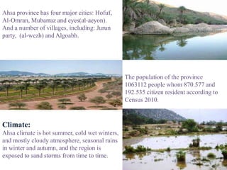 Ahsa province has four major cities: Hofuf,
Al-Omran, Mubarraz and eyes(al-aeyon).
And a number of villages, including: Jurun
party, (al-wezh) and Algoabh.




                                                The population of the province
                                                1063112 people whom 870.577 and
                                                192.535 citizen resident according to
                                                Census 2010.



Climate:
Ahsa climate is hot summer, cold wet winters,
and mostly cloudy atmosphere, seasonal rains
in winter and autumn, and the region is
exposed to sand storms from time to time.
 