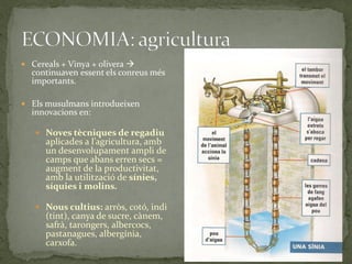  Cereals + Vinya + olivera 
  continuaven essent els conreus més
  importants.

 Els musulmans introdueixen
  innovacions en:

    Noves tècniques de regadiu
      aplicades a l’agricultura, amb
      un desenvolupament ampli de
      camps que abans erren secs =
      augment de la productivitat,
      amb la utilització de sínies,
      síquies i molins.

    Nous cultius: arròs, cotó, indi
      (tint), canya de sucre, cànem,
      safrà, tarongers, albercocs,
      pastanagues, albergínia,
      carxofa.
 