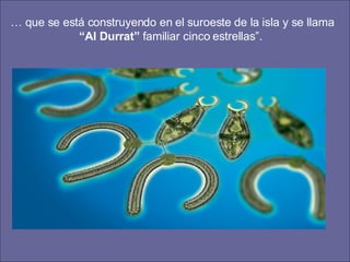 …  que se está construyendo en el suroeste de la isla y se llama  “Al Durrat”  familiar cinco estrellas”.  