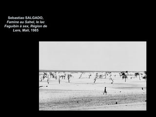 Sebastiao SALGADO,
 Famine au Sahel, le lac
Faguibin à sex, Région de
    Lere, Mali, 1985
 