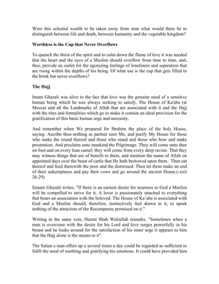 Al hajj the fifth pillar of islam by shaykh abul hasan ali nadwi | PDF