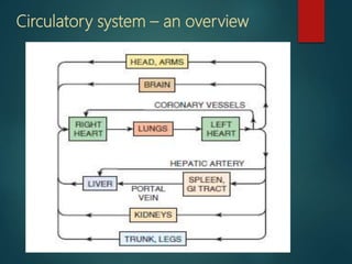 Circulatory system – an overview
 