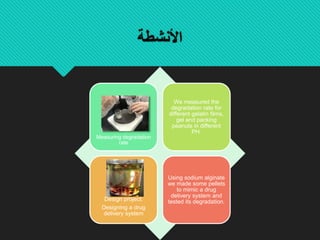 ‫األنشطة‬
Activity 3 :
Measuring degradation
rate
We measured the
degradation rate for
different gelatin films,
gel and packing
peanuts in different
PH.
Design project:
Designing a drug
delivery system
Using sodium alginate
we made some pellets
to mimic a drug
delivery system and
tested its degradation.
 