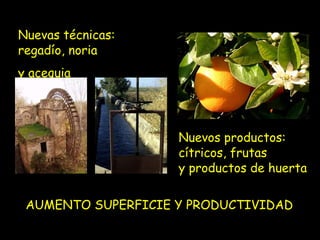 Nuevas técnicas:
regadío, noria
y acequia




                    Nuevos productos:
                    cítricos, frutas
                    y productos de huerta

 AUMENTO SUPERFICIE Y PRODUCTIVIDAD
 