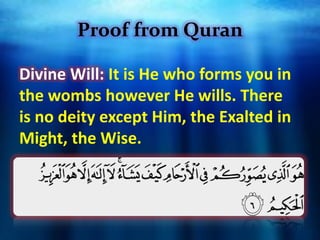 al-qadr Devine Decree and Destiny in islam.pdf