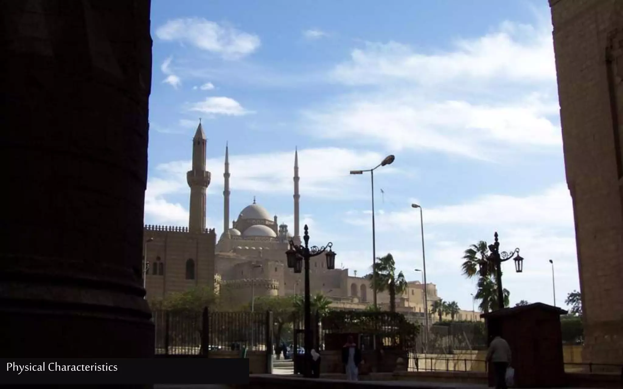 Physical Characteristics
 