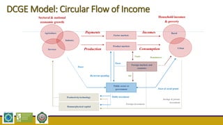 DCGE Model: Circular Flow of Income
Production
Payments
Taxes
Remittances
Foreign markets and
countries
Public sector or
government
Trade
AidRecurrent spending
Public investment
Foreign investment
Savings & private
investment
Industry
Sectoral & national
economic growth
Household incomes
& poverty
Agriculture
Services
Rural
Urban
Incomes
Consumption
Productivity/technology
Human/physical capital
Taxes & social grants
Taxes
Product markets
Factor markets
 