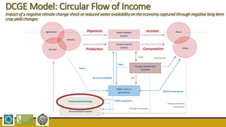 DCGE Model: Circular Flow of Income
Impact of a negativeclimatechange shockor reducedwater availabilityon the economycaptured throughnegativelong term
cropyield changes
Production
Payments
Taxes
Remittances
Foreign markets and
countries
Public sector or
government
Trade
AidRecurrent spending
Public investment
Foreign investment
Savings & private
investment
Industry
Agriculture
Services
Rural
Urban
Incomes
Consumption
Productivity/technology
Human/physical capital
Taxes & social grants
Taxes
Product markets
(water)
Factor markets
(water)
 