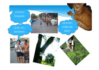 ระหวางทาง
โดนลุงแกลง
กลับบานดีๆ
นะเพื่อน โชค ั นะเพอน โชค
ดีคราบ
กลาจบ 555+
ไมกลัวหลอก
 