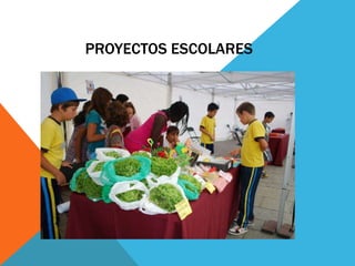 PROYECTOS ESCOLARES
 