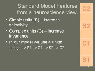 Standard Model Features from a neuroscience view. Simple units (S) – increase selectivity Complex units (C) – increase invariance In our model we use 4 units: Image –> S1 –> C1 –> S2 –> C2  C1 S2 C2 S1 