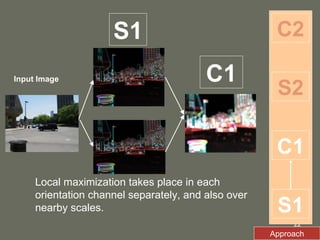 Input Image S1 C1 S1 C1 S2 C2 Local maximization takes place in each orientation channel separately, and also over nearby scales.  Approach 