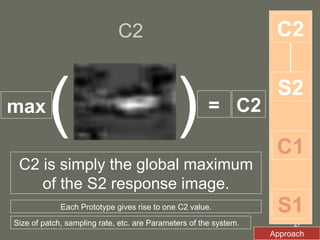 C2 C2 is simply the global maximum of the S2 response image. S1 C1 S2 C2 Each Prototype gives rise to one C2 value. C2 = max ( ) Size of patch, sampling rate, etc. are Parameters of the system. Approach 