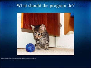 What should the program do? http://www.flickr.com/photos/46978810@N00/476798140/ 