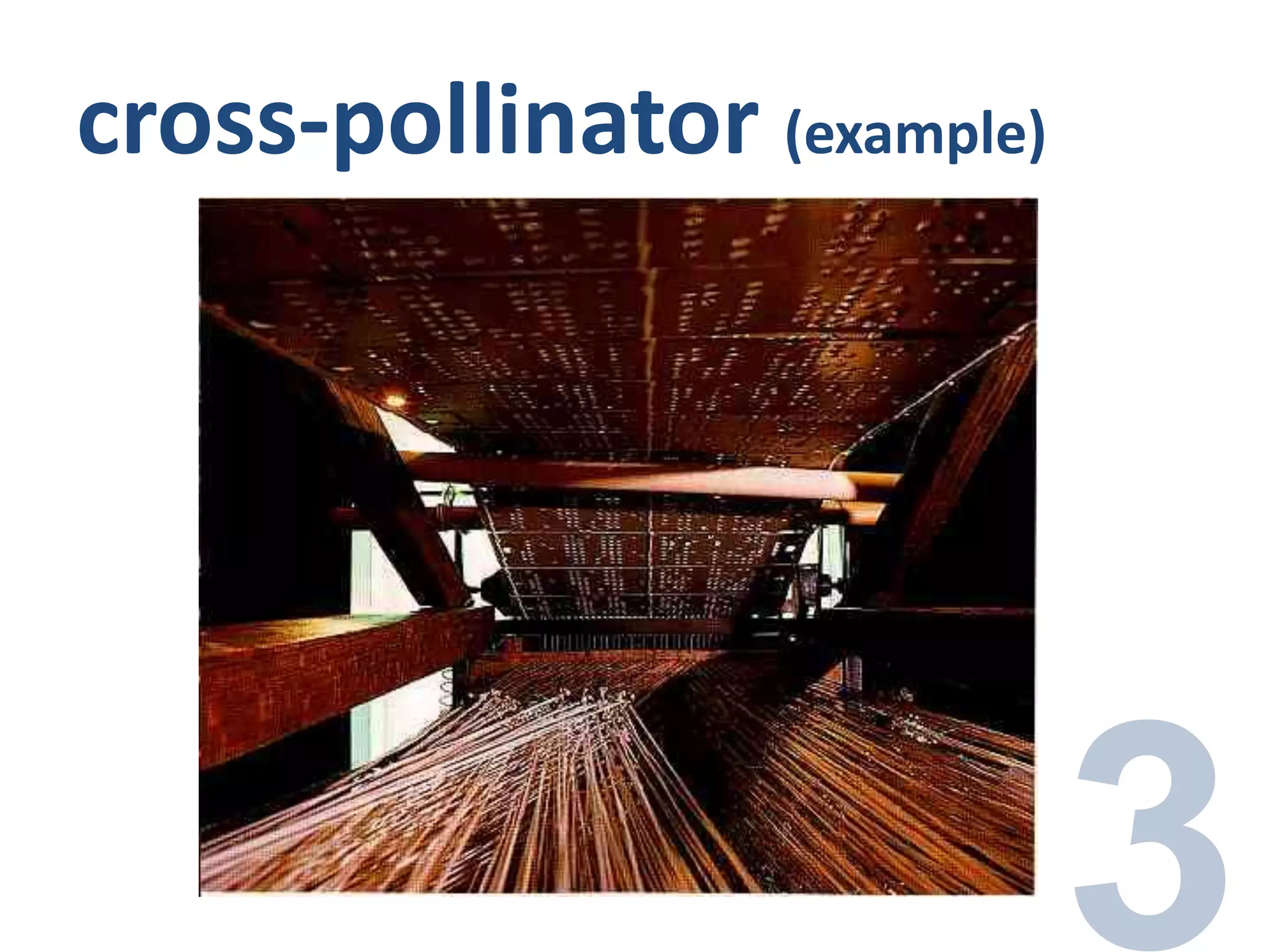 cross-pollinator (example)
 