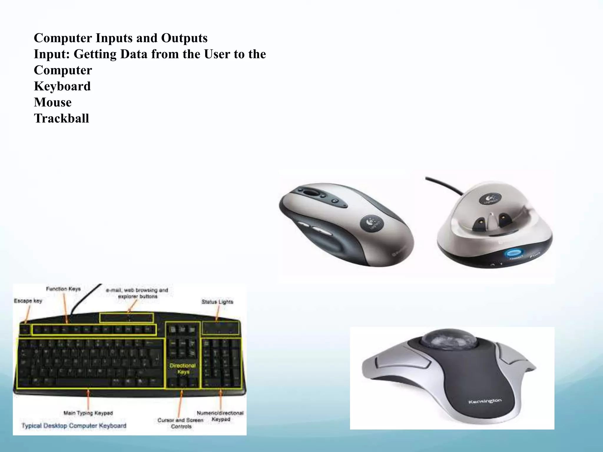 Computer Inputs and Outputs
Input: Getting Data from the User to the
Computer
Keyboard
Mouse
Trackball
 