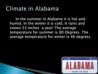 In the summer in Alabama it is hot and humid. In the winter it is cold. It rains and snows 53 inches a year! The average temperature for summer is 80 Degrees. The average temperature for winter is 46 degrees.