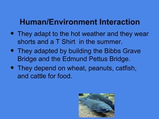 Human/Environment Interaction
•   They adapt to the hot weather and they wear
    shorts and a T Shirt in the summer.
•   They adapted by building the Bibbs Grave
    Bridge and the Edmund Pettus Bridge.
•   They depend on wheat, peanuts, catfish,
    and cattle for food.
 