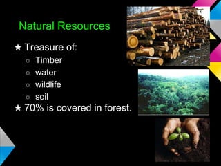 Natural Resources
★ Treasure of:
○ Timber
○ water
○ wildlife
○ soil

★ 70% is covered in forest.

 