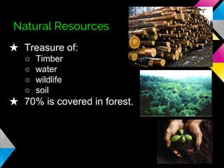 Natural Resources
★ Treasure of:
○
○
○
○

Timber
water
wildlife
soil

★ 70% is covered in forest.

 