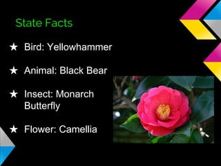 State Facts
★ Bird: Yellowhammer
★ Animal: Black Bear
★ Insect: Monarch
Butterfly
★ Flower: Camellia

 