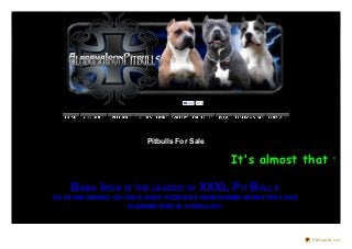 Like

2.7k

Pitbulls For Sale

It's almost that time
BAMA IRON IS THE LEADER IN XXXL PIT BULLS
NO OTHER KENNEL ON THE PLANET PRODUCES THEM BIGGER OR BETTER THAN
ALABAMA IRON XL PITBULLS!!!!

PDFmyURL.com

 