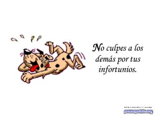 N o culpes a los demás por tus infortunios. 