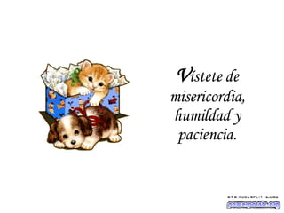 V ístete de misericordia, humildad y paciencia. 