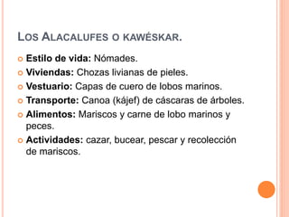 LOS ALACALUFES O KAWÉSKAR.
Estilo de vida: Nómades.
Viviendas: Chozas livianas de pieles.
Vestuario: Capas de cuero de lobos marinos.
Transporte: Canoa (kájef) de cáscaras de árboles.
Alimentos: Mariscos y carne de lobo marinos y
peces.
Actividades: cazar, bucear, pescar y recolección
de mariscos.