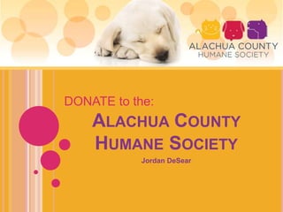 ALACHUA COUNTY
HUMANE SOCIETY
Jordan DeSear
DONATE to the:
 