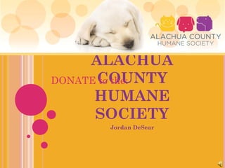 ALACHUA
COUNTY
HUMANE
SOCIETY
Jordan DeSear
DONATE to the:
 