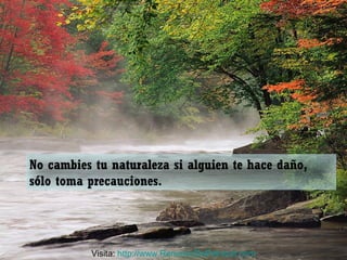 No cambies tu naturaleza si alguien te hace daño,
sólo toma precauciones.
Visita: http://www.RenuevoDePelnitud.com
 