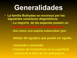 • La familia Buthydae se reconoce por los
siguientes caracteres diagnósticos:
- La mayoría de las especies poseen un
esternón triangular o subtriangular.
- Así como una espina subaculear (por
debajo del aguijón) que puede ser aguda,
romboide o piramidal
- Carecen de tricobotrias en la superficie
ventral de la tibia de los pedipalpos.
Generalidades
 