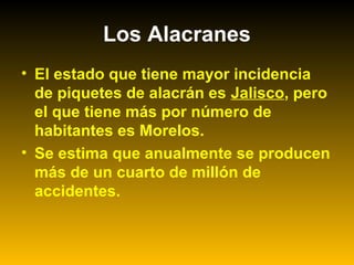 • El estado que tiene mayor incidencia
de piquetes de alacrán es Jalisco, pero
el que tiene más por número de
habitantes es Morelos.
• Se estima que anualmente se producen
más de un cuarto de millón de
accidentes.
Los Alacranes
 