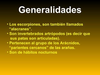 Generalidades
• Los escorpiones, son también llamados
“alacranes”.
• Son invertebrados artrópodos (es decir que
sus patas son articuladas).
• Pertenecen al grupo de los Arácnidos,
“parientes cercanos” de las arañas.
• Son de hábitos nocturnos
 