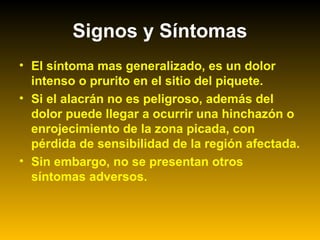 Signos y Síntomas
• El síntoma mas generalizado, es un dolor
intenso o prurito en el sitio del piquete.
• Si el alacrán no es peligroso, además del
dolor puede llegar a ocurrir una hinchazón o
enrojecimiento de la zona picada, con
pérdida de sensibilidad de la región afectada.
• Sin embargo, no se presentan otros
síntomas adversos.
 