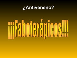 ¿Antiveneno?
 