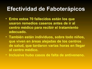 • Entre estos 70 fallecidos están los que
usaron remedios caseros antes de ir al
centro médico para recibir el tratamiento
adecuado.
• También están individuos, sobre todo niños,
que viven en áreas alejadas de los centros
de salud, que tardaron varias horas en llegar
al centro médico.
• Inclusive hubo casos de falta de antiveneno.
Efectividad de Faboterápicos
 