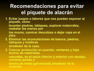 1. Evitar juegos o labores que nos puedan exponer al
piquete, como
levantar piedras, tabiques, explorar matorrales,
resbalar las manos por
los muros, caminar descalzos o dejar ropa en el
piso.
2. Eliminar las acumulaciones de basura, piedras,
tabiques y maderas
alrededor de la casa.
3. Colocar protección en puertas, ventanas y bajo
techos de materiales
naturales, en el zoclo interior y exterior con azulejo,
cemento pulido o
lámina de metal galvanizado alrededor de la
vivienda.
Recomendaciones para evitar
el piquete de alacrán
 